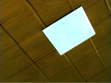 Shoyonoido Mako-chan